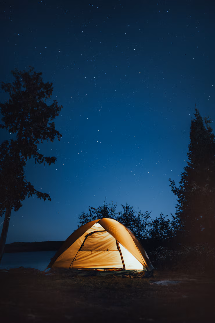 vertical-shot-camping-tent-near-trees-nighttime_181624-2319